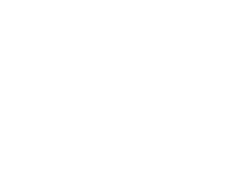 OWNER'S VOICE